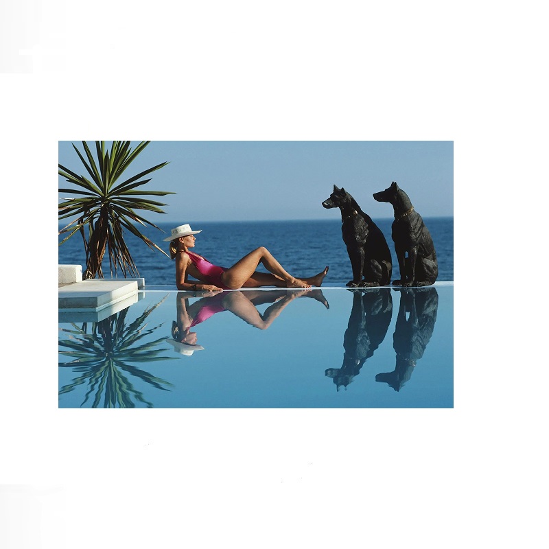 Retro Poolside Host Luxury Lif – Luxury Lifestyle Us recenzja i cena